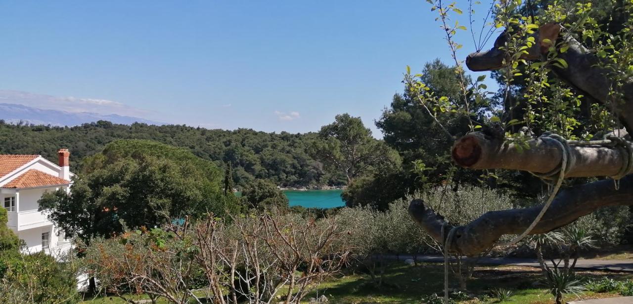 Milijana Apartments Rab Rab Town Kültér fotó