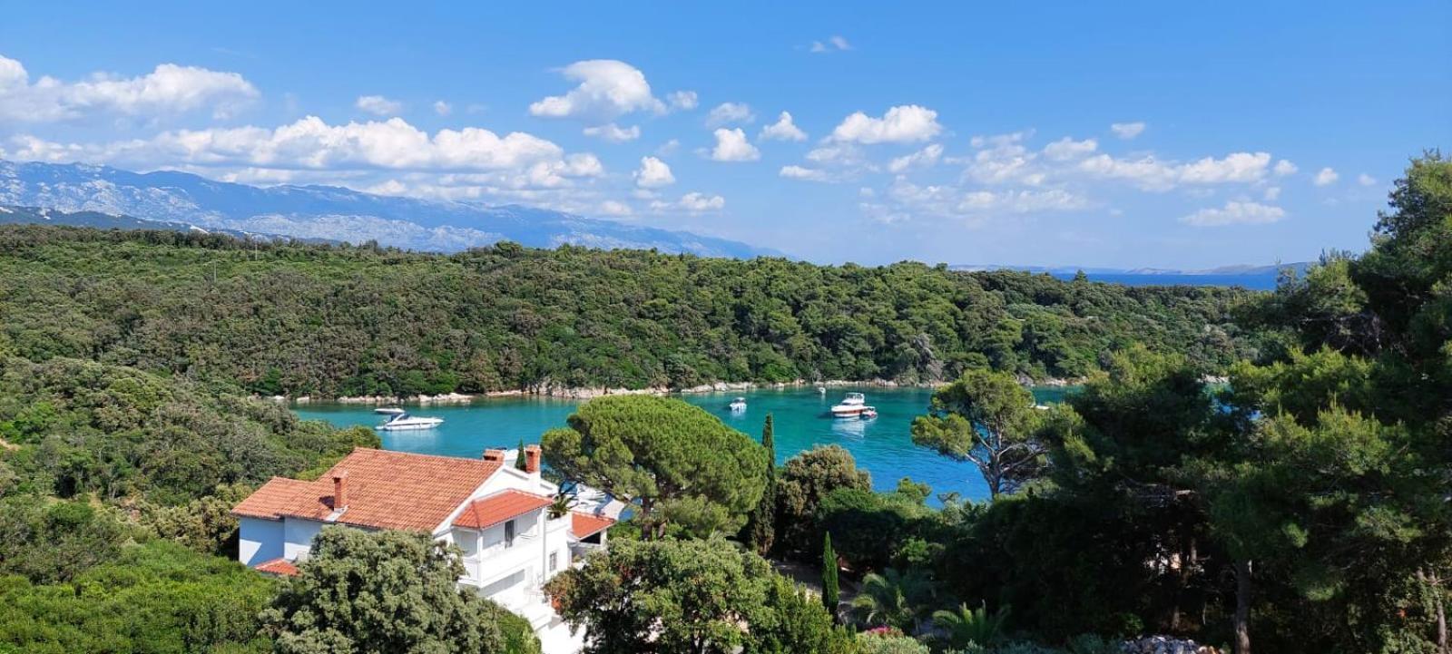 Milijana Apartments Rab Rab Town Szoba fotó